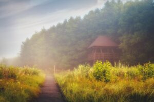 Poleski Park Narodowy. Mgła nad mokradłami i wieża widokowa - ścieżka dydaktyczna Czahary